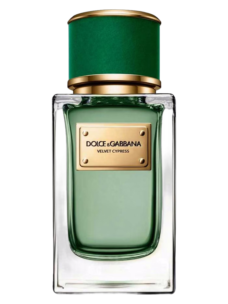 Dolce&Gabbana Velvet Cypress