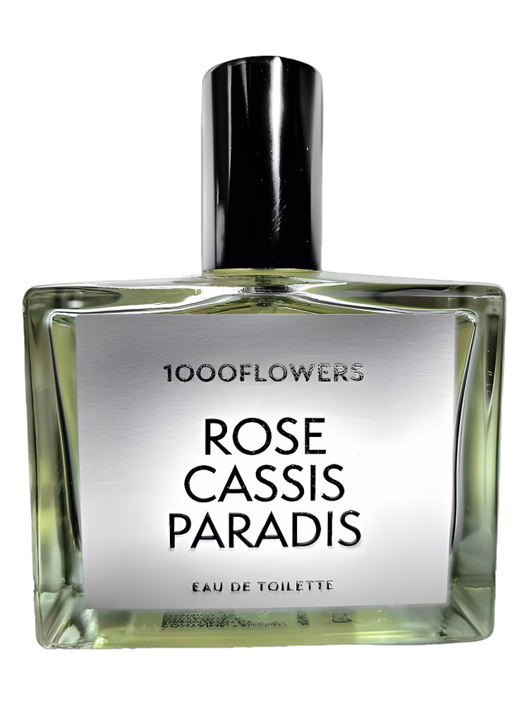 1000 Flowers Rose Cassis Paradis