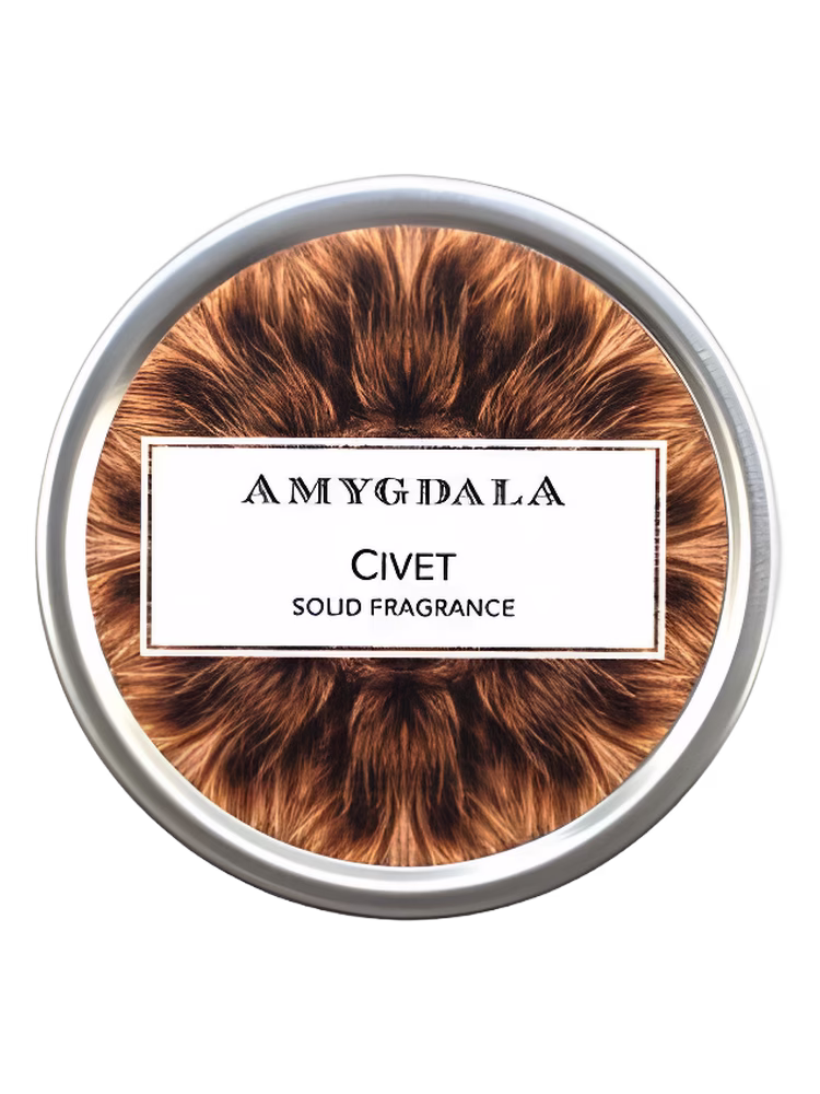 Amygdala Civet
