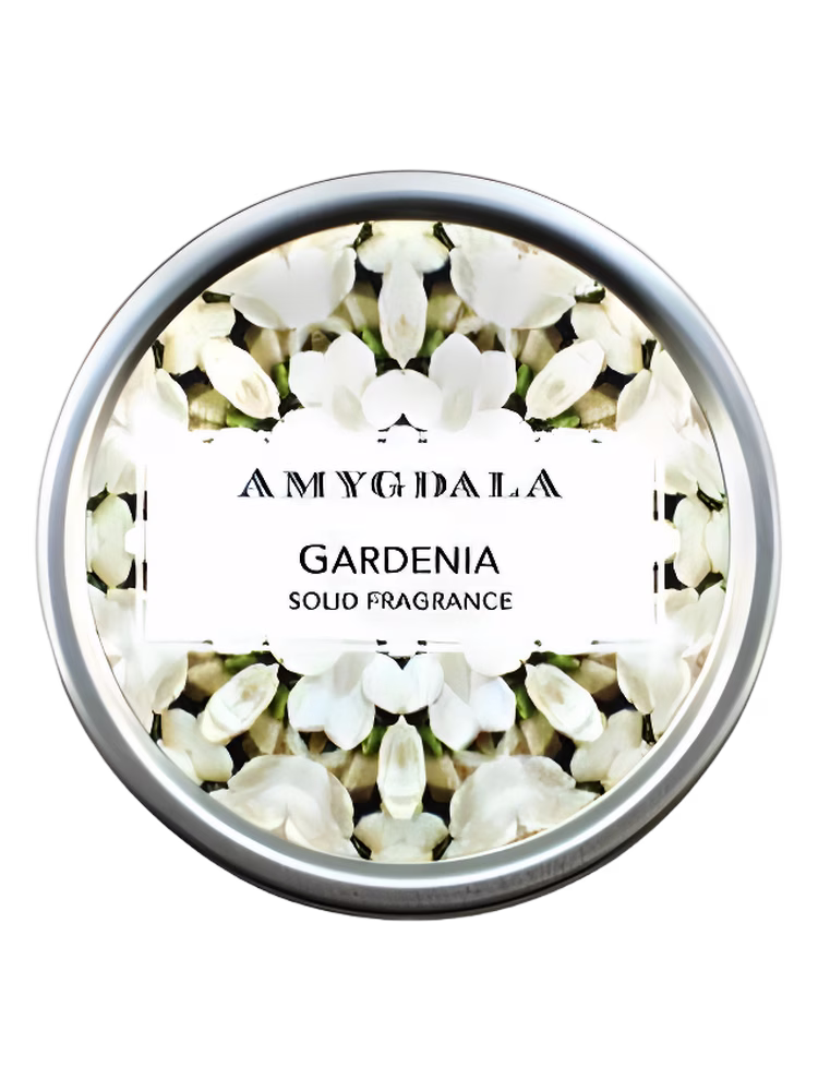 Amygdala Gardenia