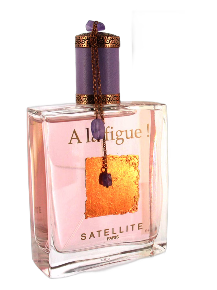 Satellite A La Figue!