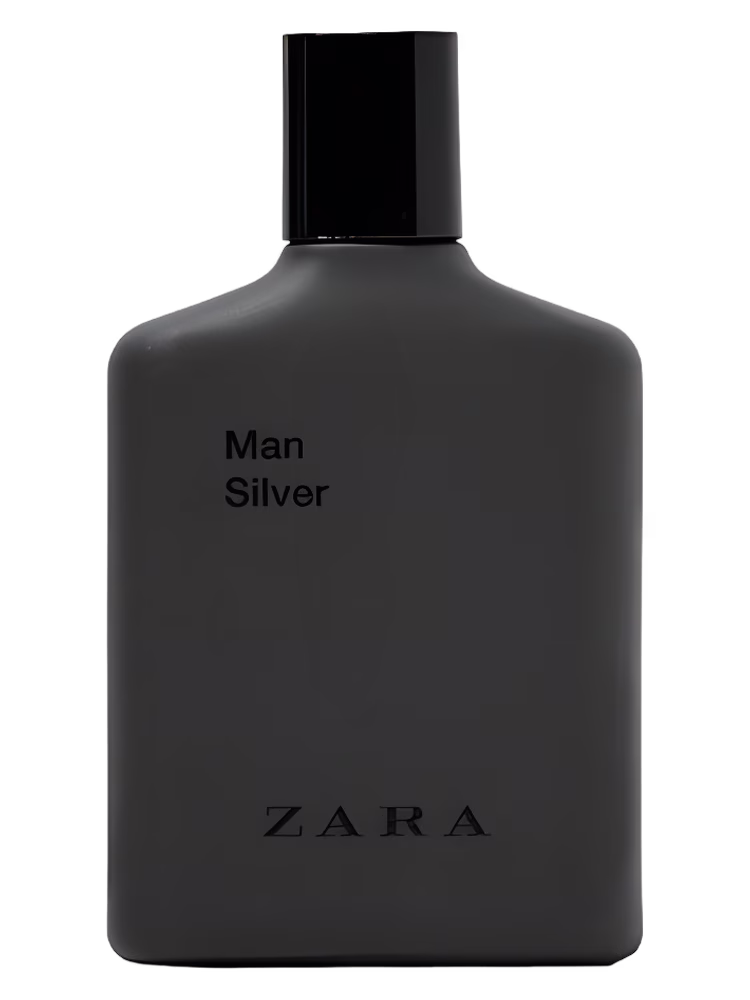 Zara Man Silver 2017