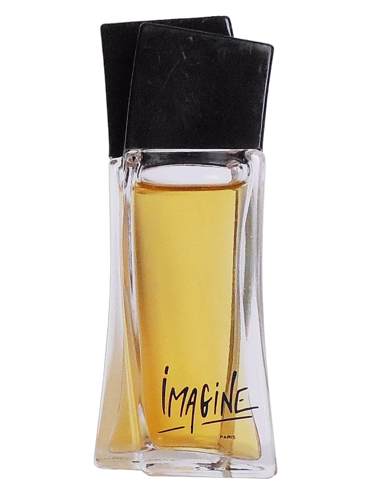 Jean Louis Vermeil Imagine