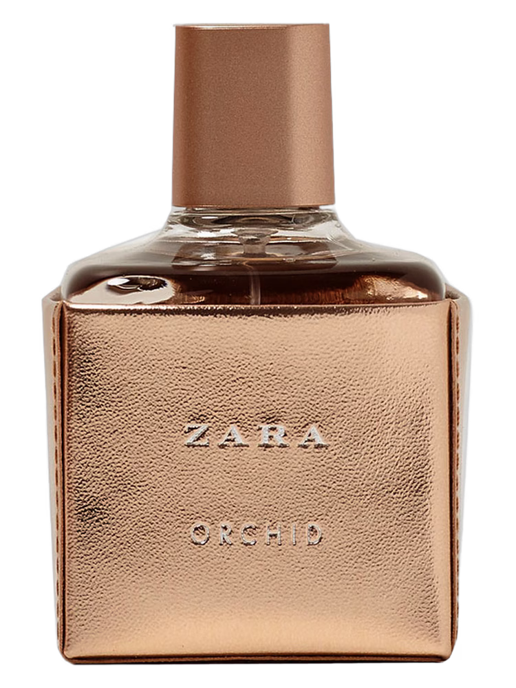 Zara Zara Orchid 2017