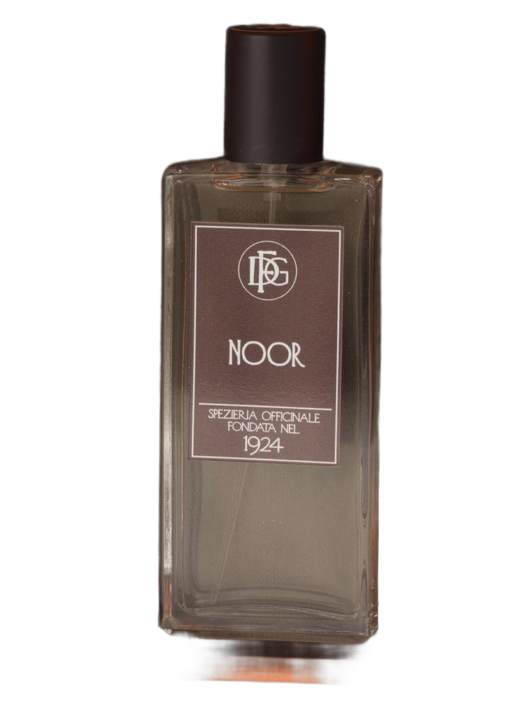DFG1924 Noor
