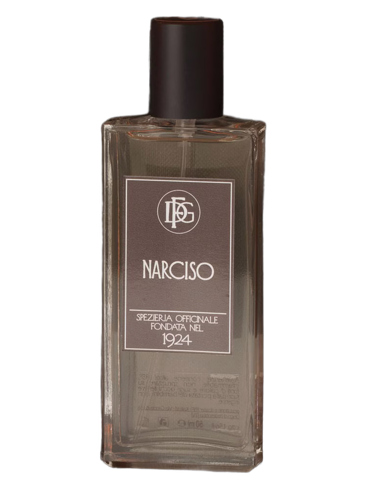 DFG1924 Narciso