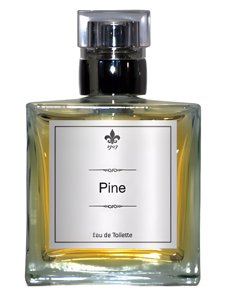 1907 Pine