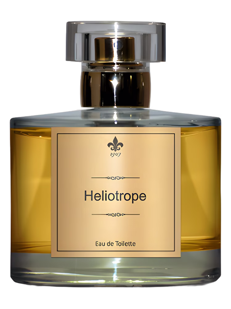 1907 Heliotrope