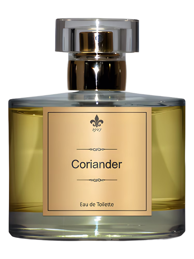 1907 Coriander