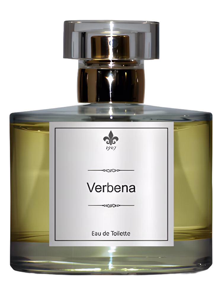 1907 Verbena