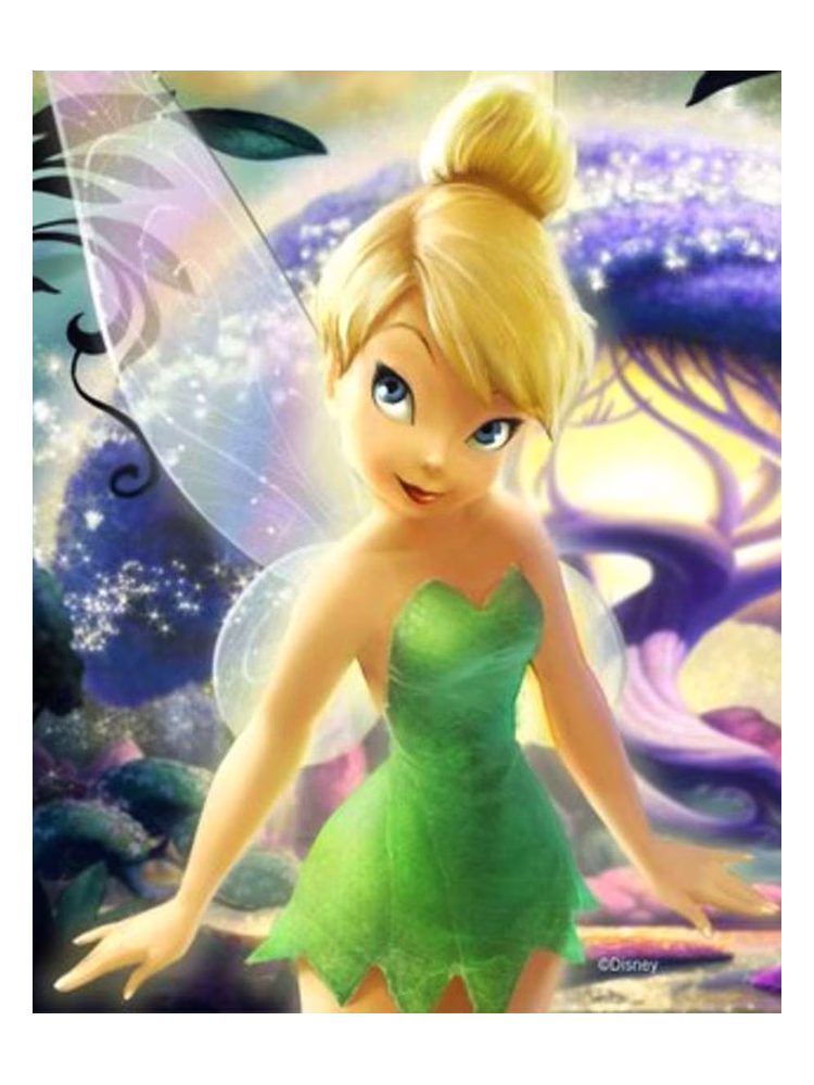 Air-Val International Disney Fairies