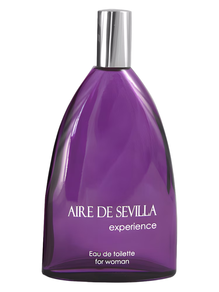 Instituto Español Aire de Sevilla Experience