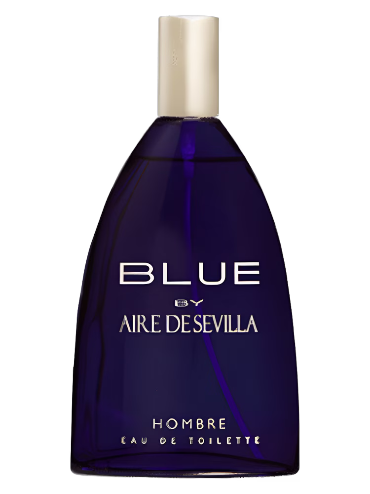 Instituto Español Blue Aire de Sevilla