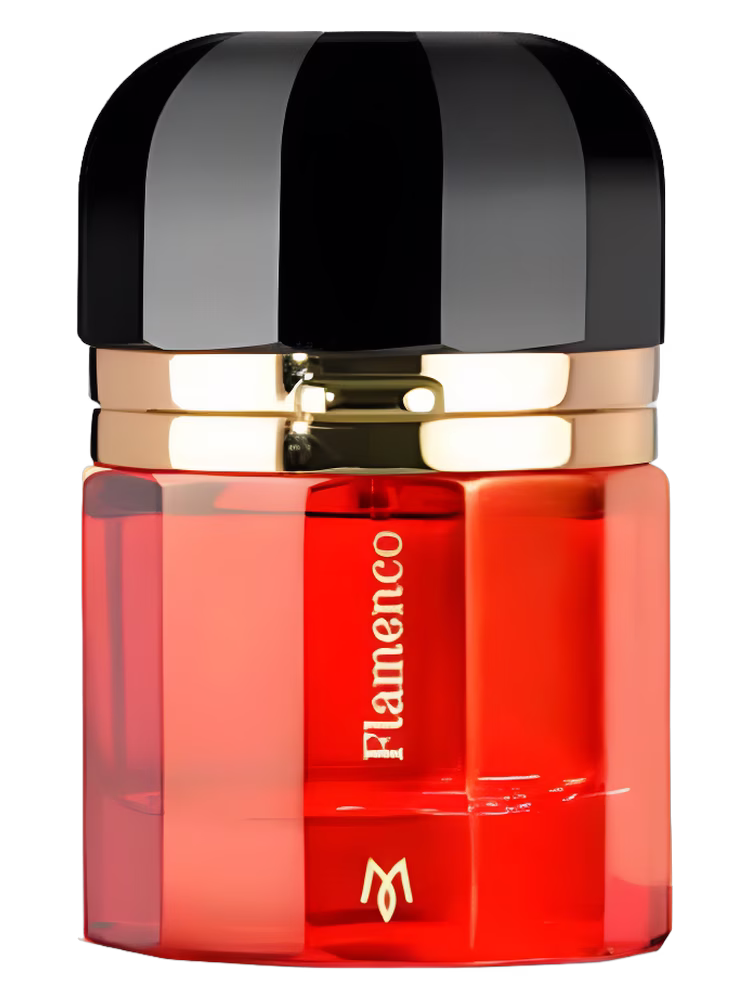 Ramon Monegal Flamenco