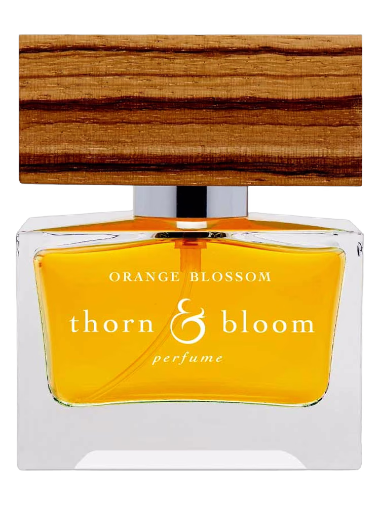 Thorn & Bloom Orange Blossom