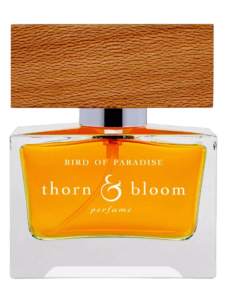 Thorn & Bloom Bird of Paradise