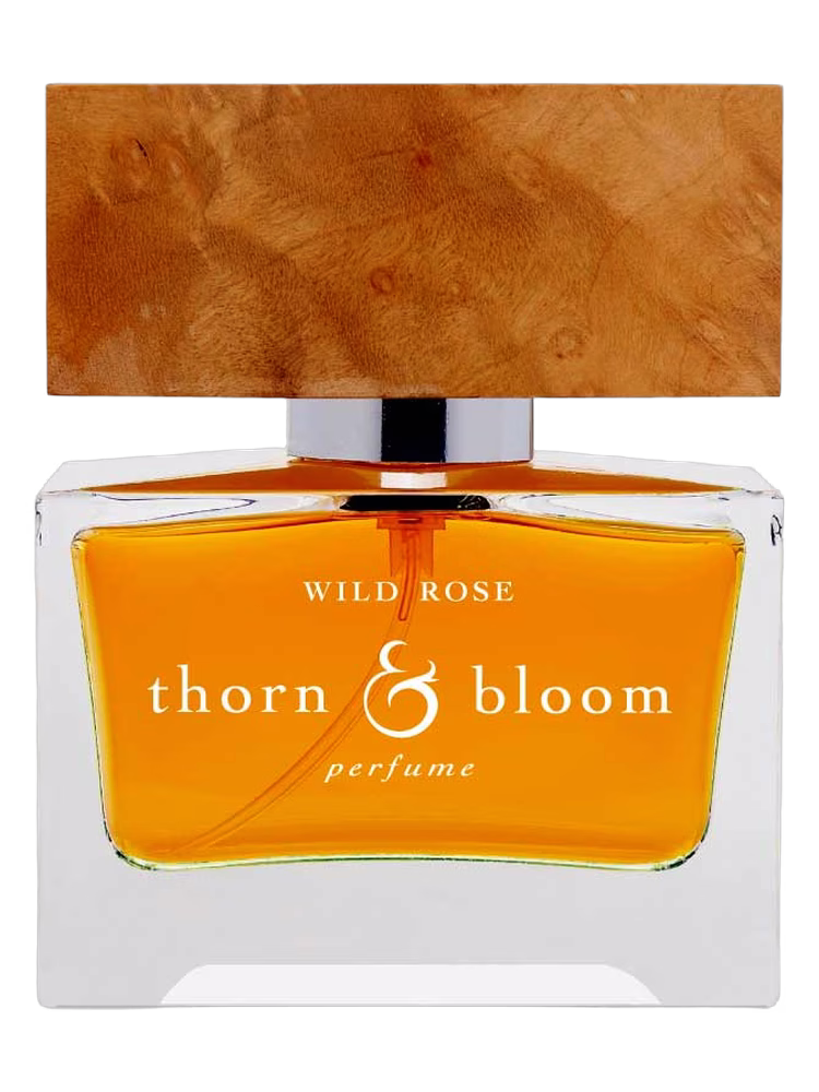 Thorn & Bloom Wild Rose