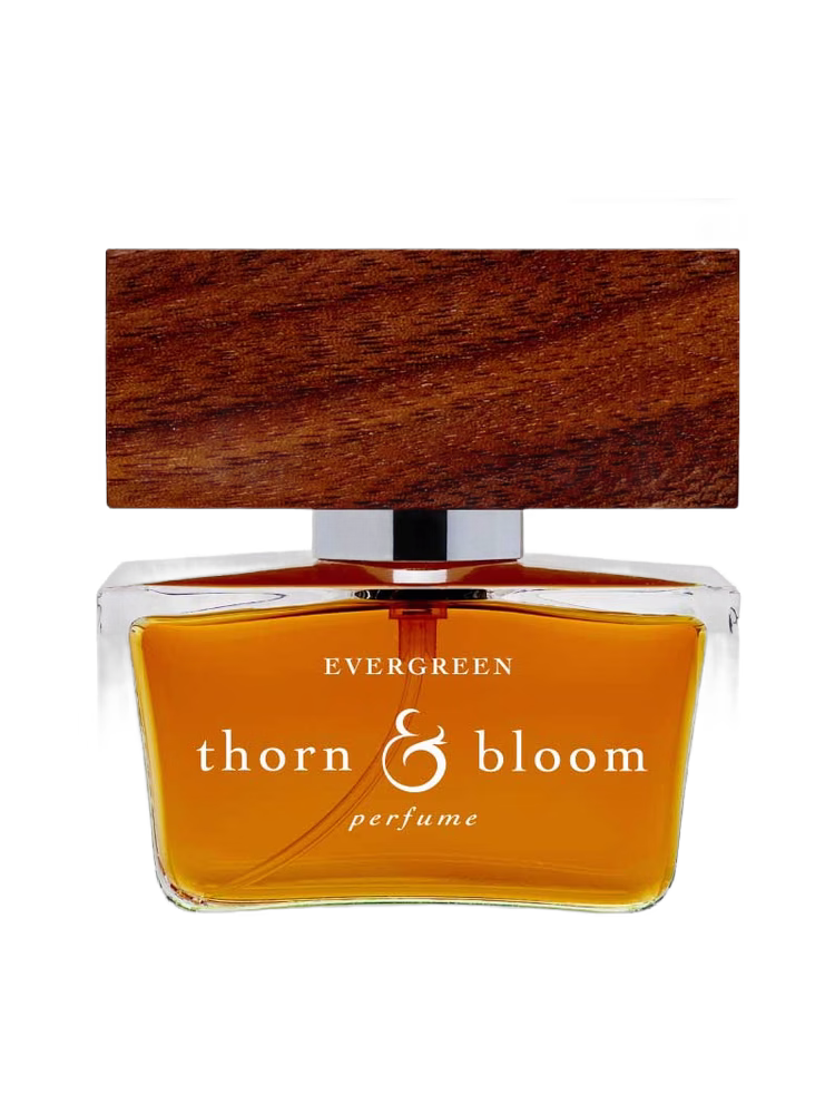 Thorn & Bloom Evergreen