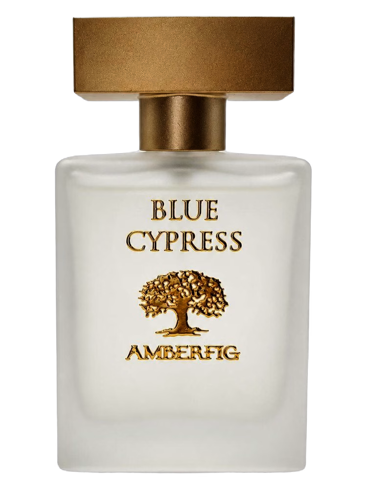 Amberfig Blue Cypress
