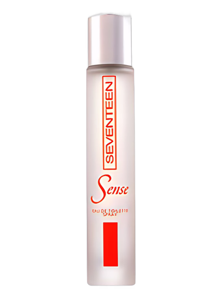 Seventeen Sense
