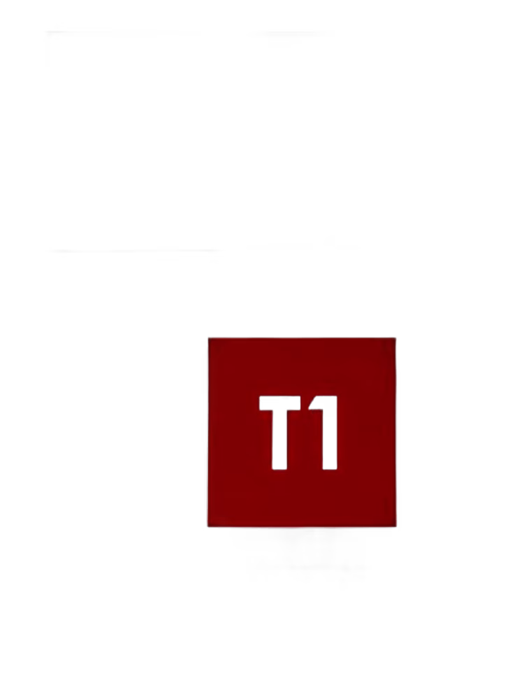 Tiffi T1 Pure Instincts