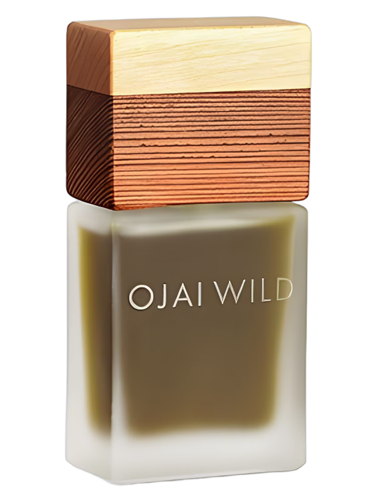 Ojai Wild Redwood Leaves