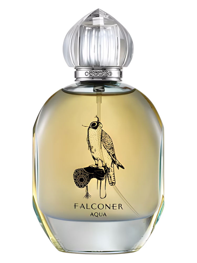 OTTANIQO Falconer Aqua