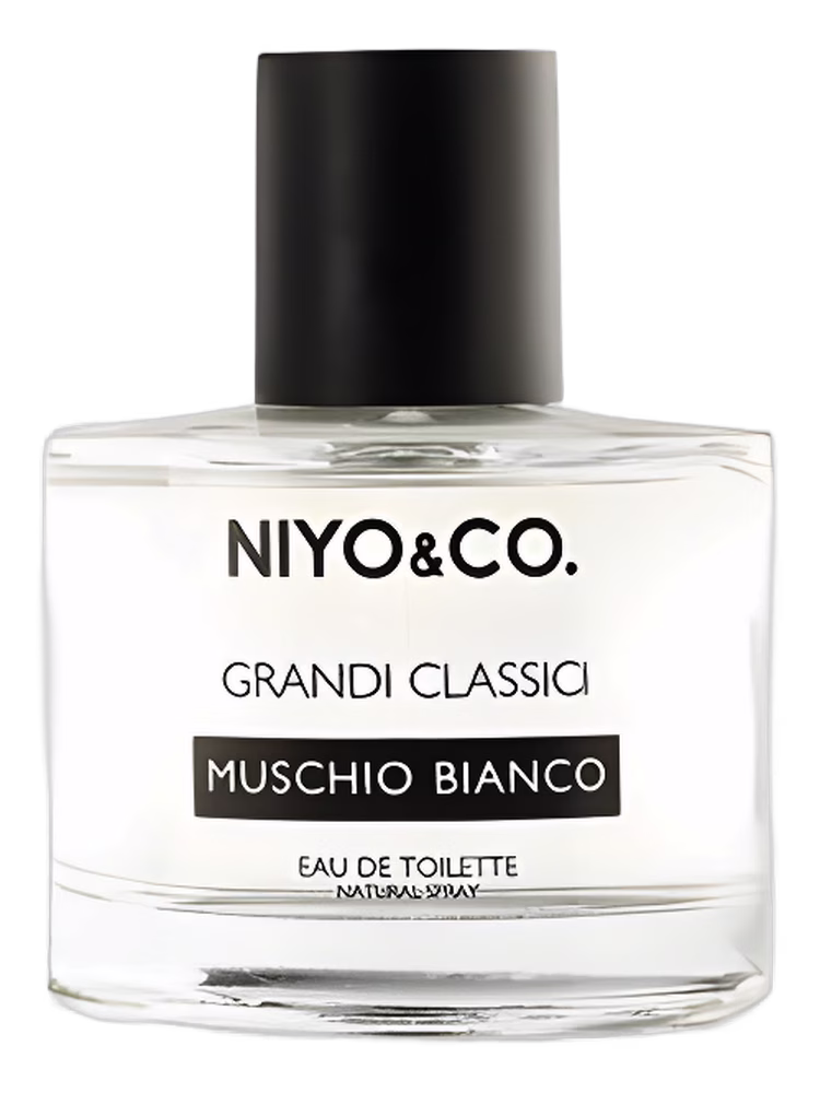 NIYO&CO Muschio Bianco