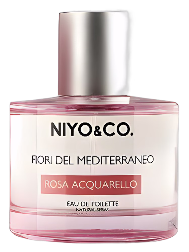 NIYO&CO Rosa Acquarello