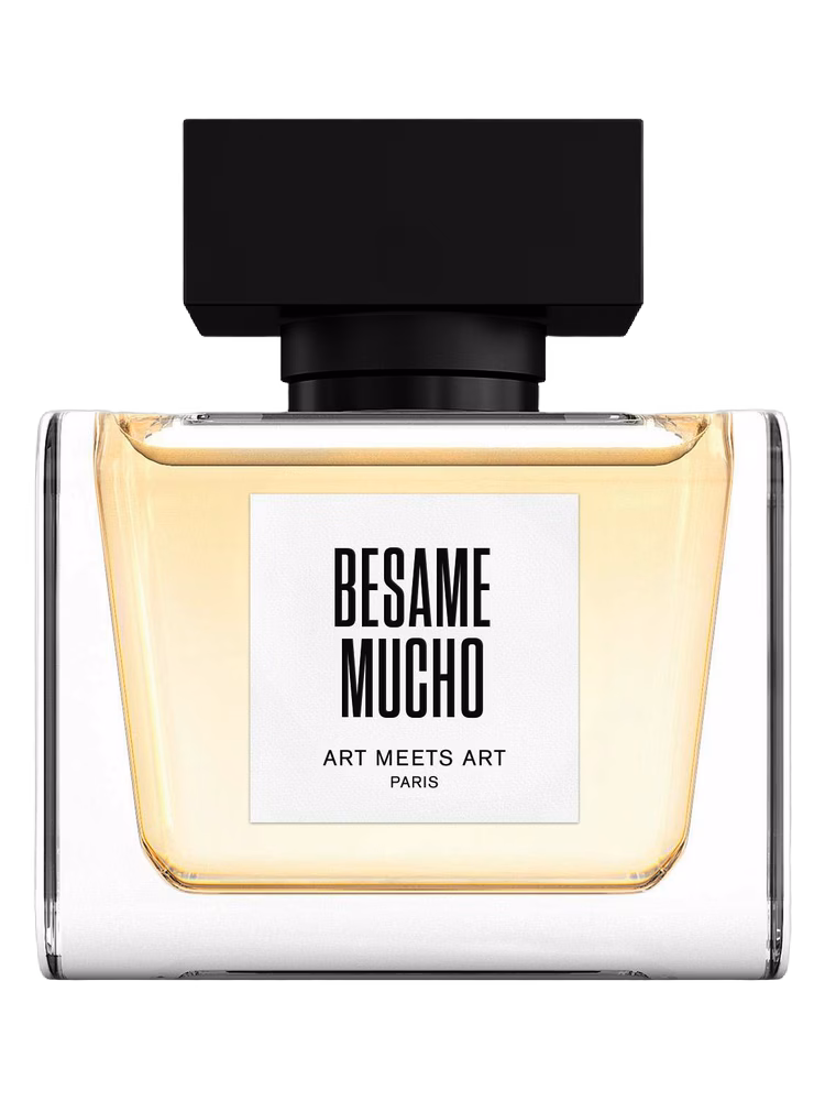 Art Meets Art Besame Mucho