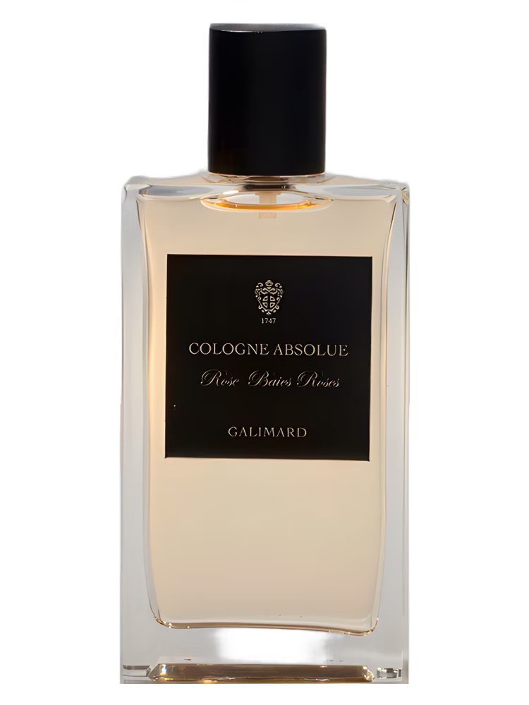 Galimard Rose Baies Roses