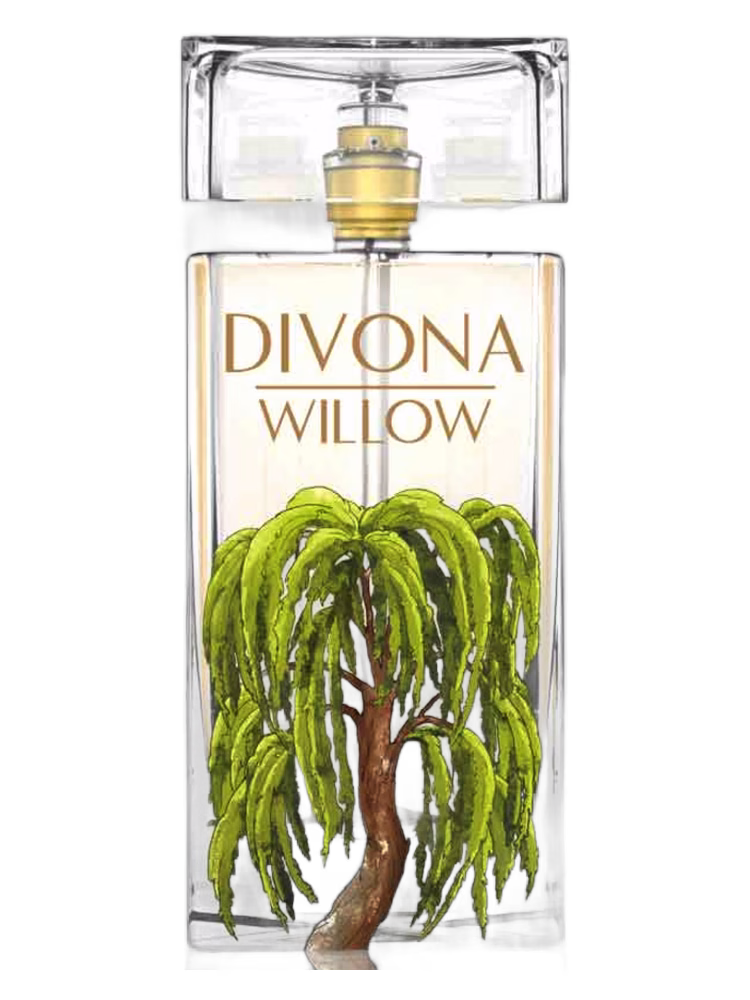 Divona Willow