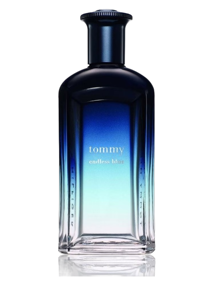 Tommy Hilfiger Tommy Endless Blue