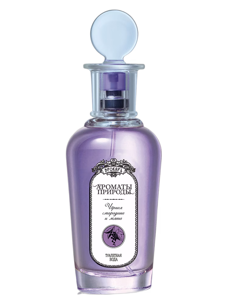 Brocard Черная смородина и мята - Black currant and Mint