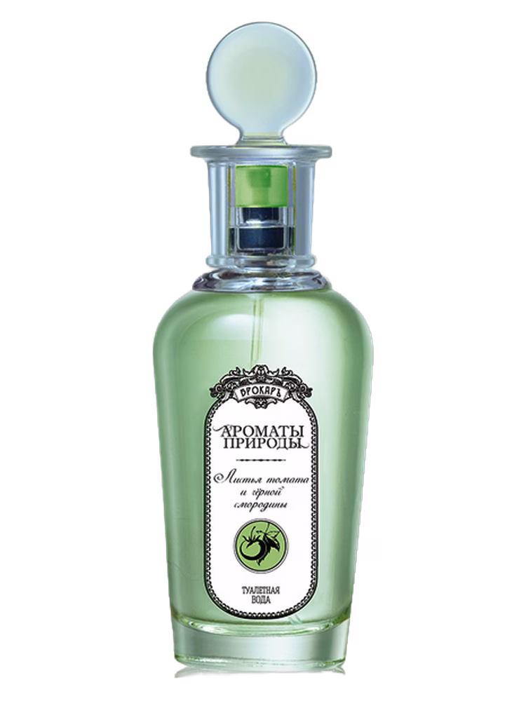 Brocard Листья томата и черной смородины - Tomato and Black Currant Leaves