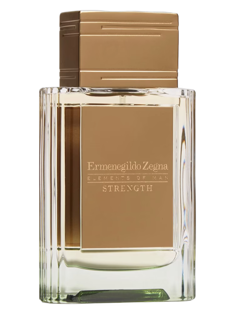Ermenegildo Zegna Strength