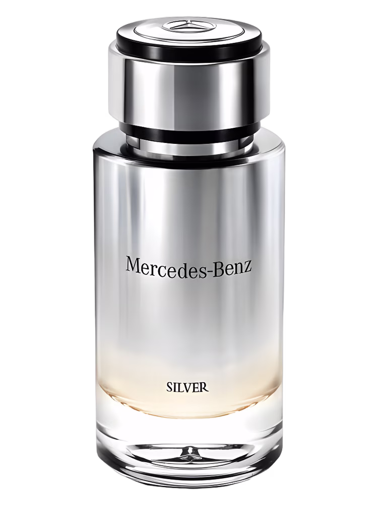 Mercedes-Benz Mercedes-Benz Silver
