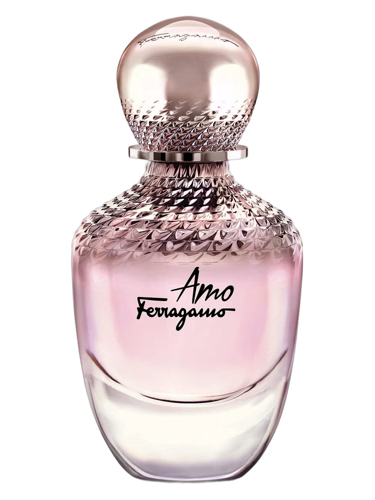 Salvatore Ferragamo Amo Ferragamo