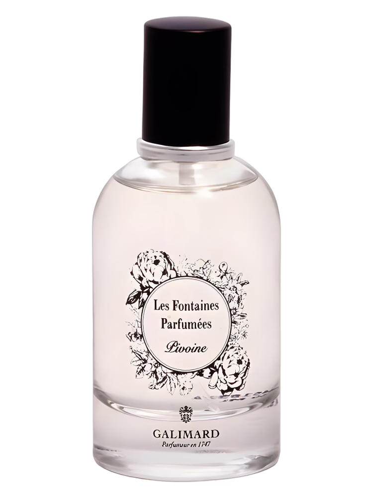 Galimard Pivoine