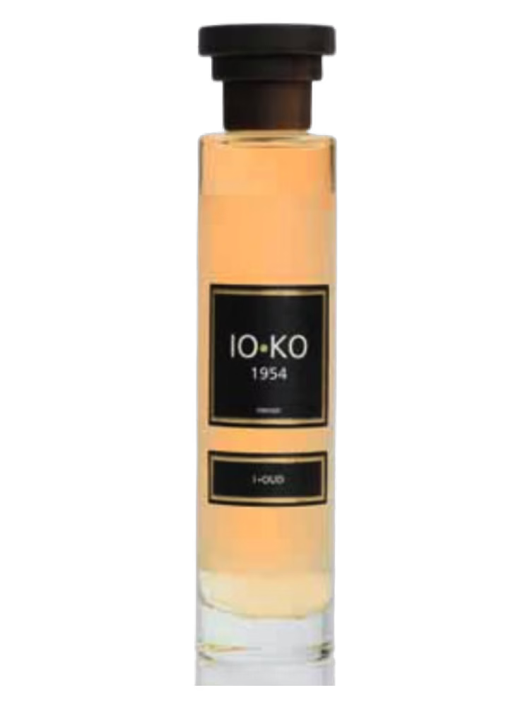 IO.KO 1954 I.Oud