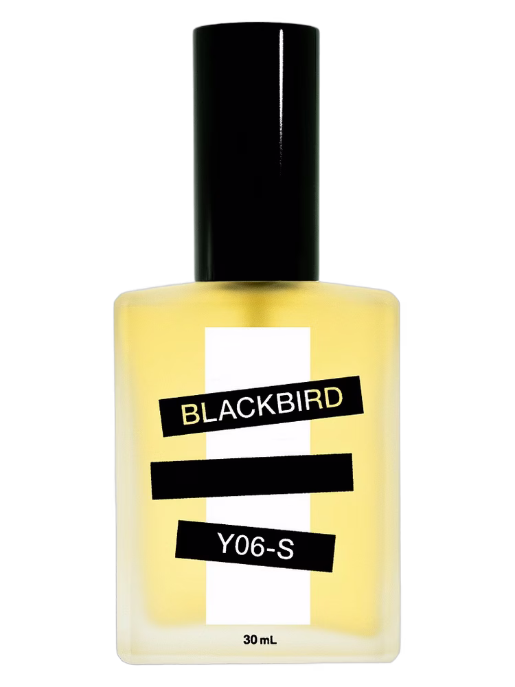 Blackbird Y06-S