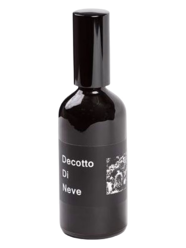 Decotto Di Neve Forza Nella Comprensione