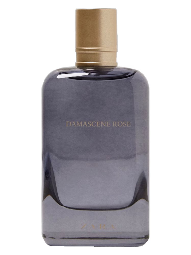 Zara Damascene Rose