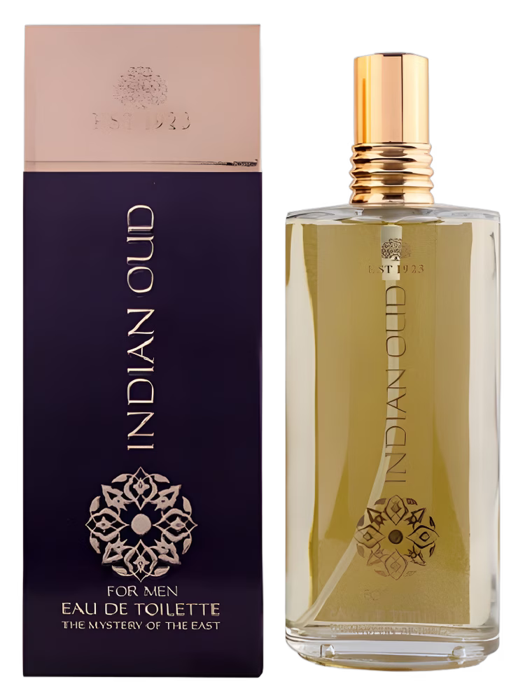 Eyüp Sabri Tuncer Indian Oud