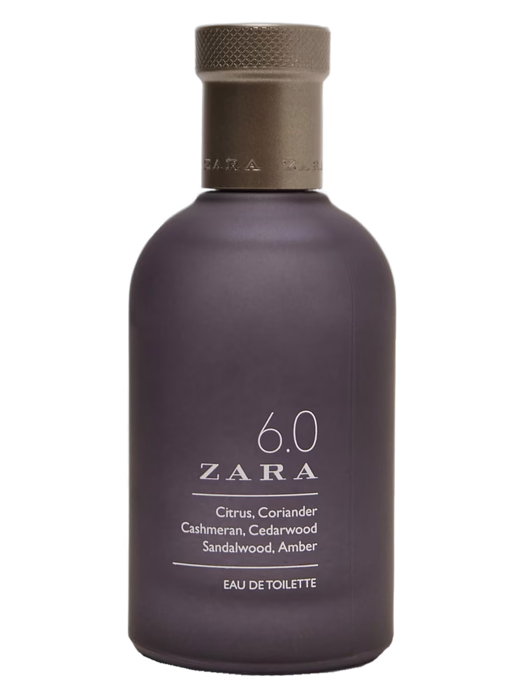 Zara 6.0 Zara