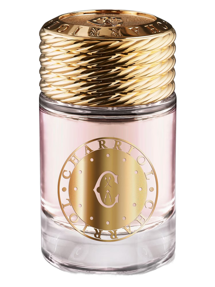 Charriol Infinite Celtic For Women