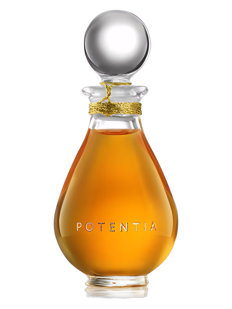 The House Of Potentia Amber God