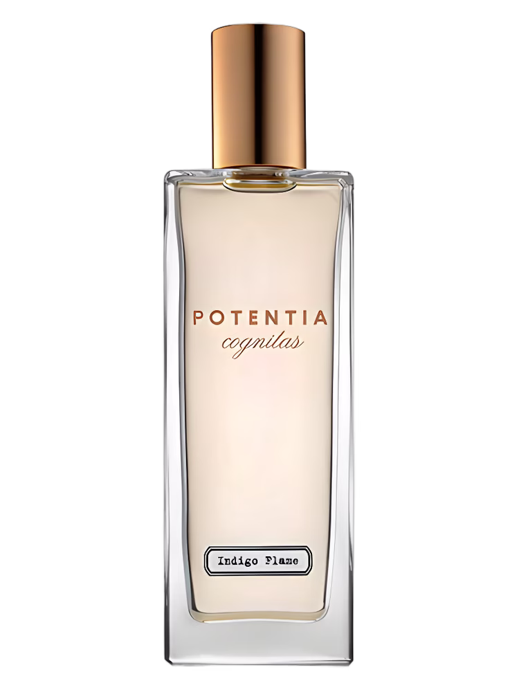 The House Of Potentia Indigo Flame