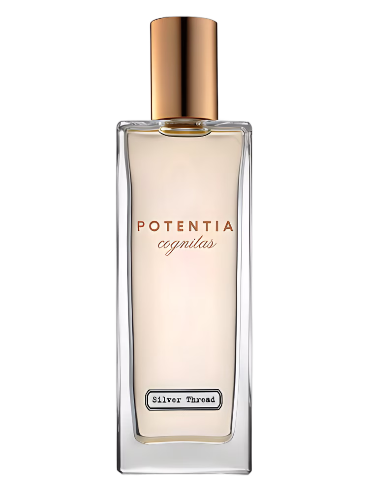 The House Of Potentia Silver Thread