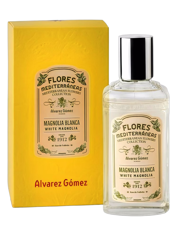 Alvarez Gómez Magnolia Blanca (White Magnolia)